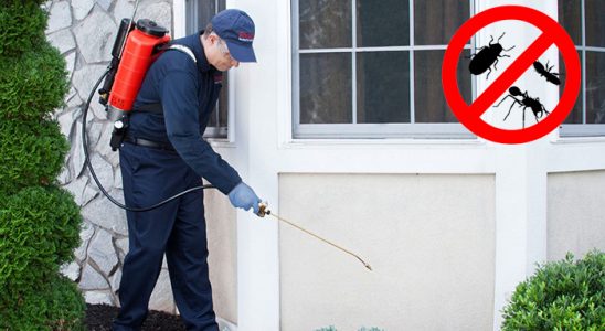 Dinar Gümüşkurt İlaçlama böcek ilaçlama ve haşere kontrolü — ilaclama-tr.com